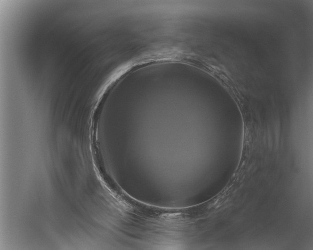 X0000060220054200511041215