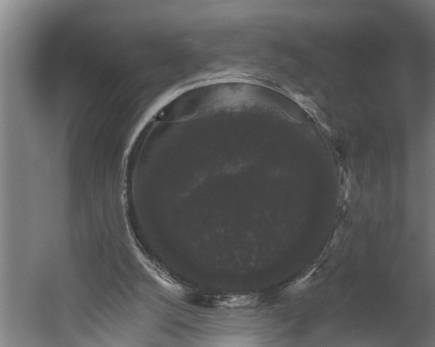 X0000060220056200511041215
