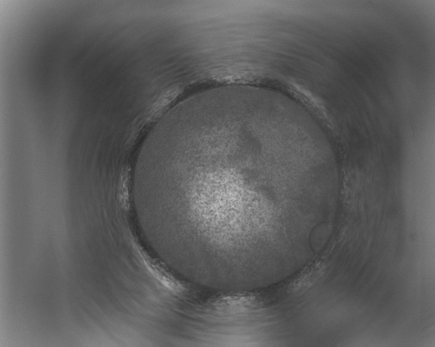 X0000060220065200511041215