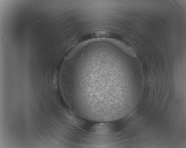 X0000060220082200511041216
