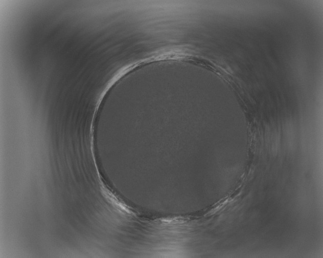 X0000060220100200511041215