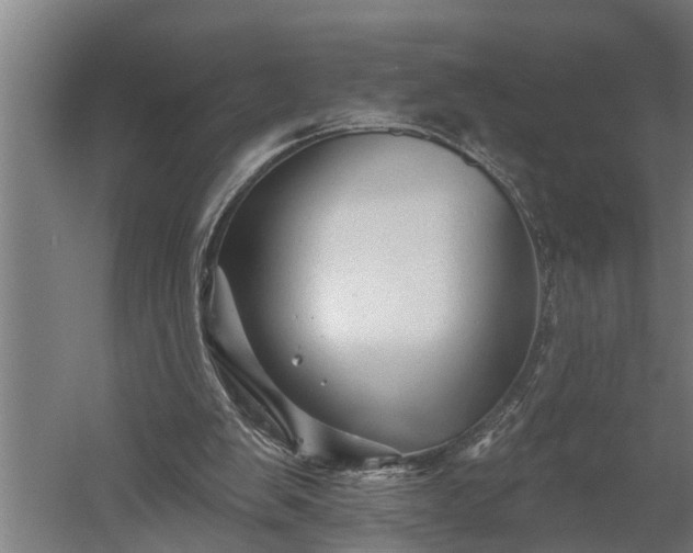 X0000060220103200511041215