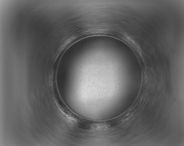 X0000060220107200511041215