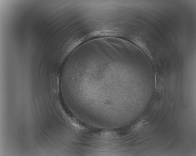 X0000060220109200511041215