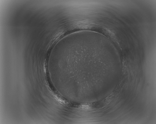 X0000060220114200511041215