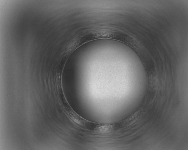 X0000060220126200511041214