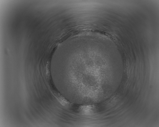X0000060220131200511041214