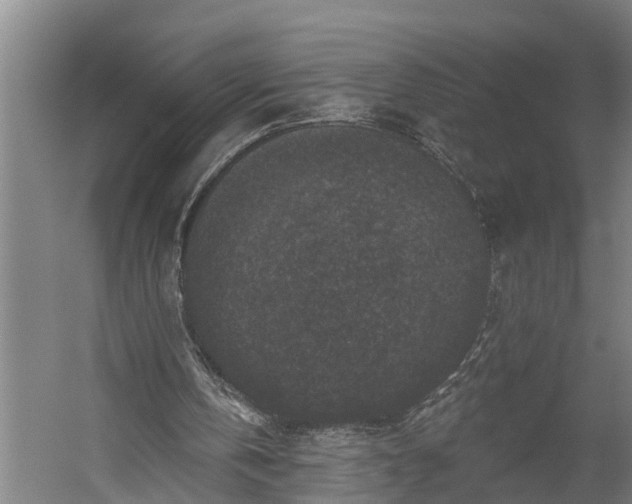 X0000060220146200511041213