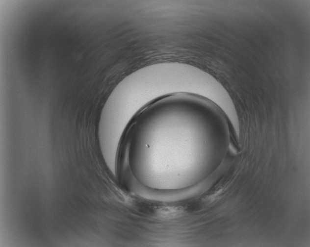 X0000060220185200511041214