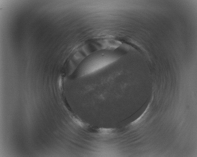 X0000060220192200511041214