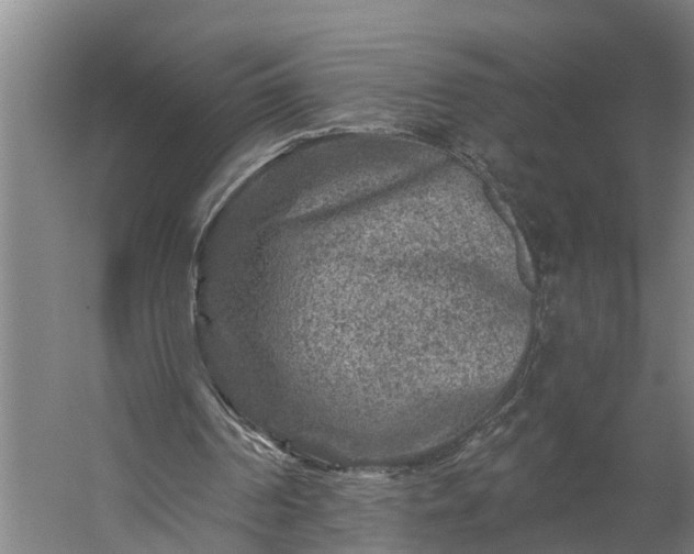 X0000060220194200511041213