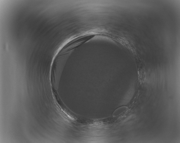 X0000060220196200511041213