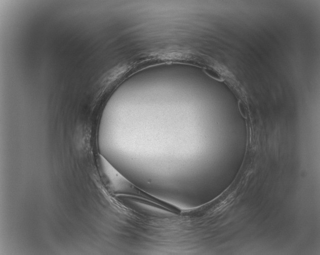 X0000060220201200511041213