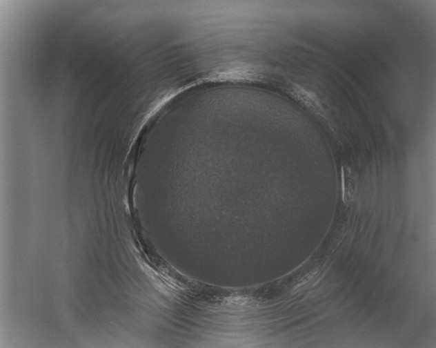 X0000060220204200511041213