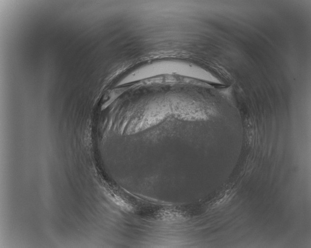 X0000060220207200511041213