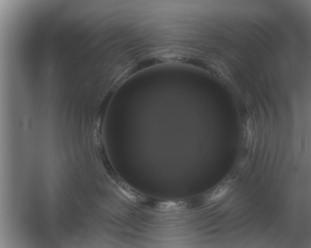 X0000060220239200511041213