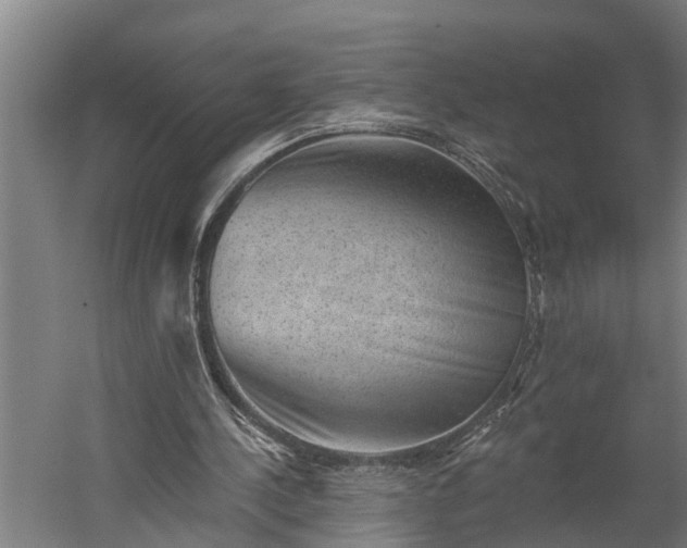 X0000060220244200511041212