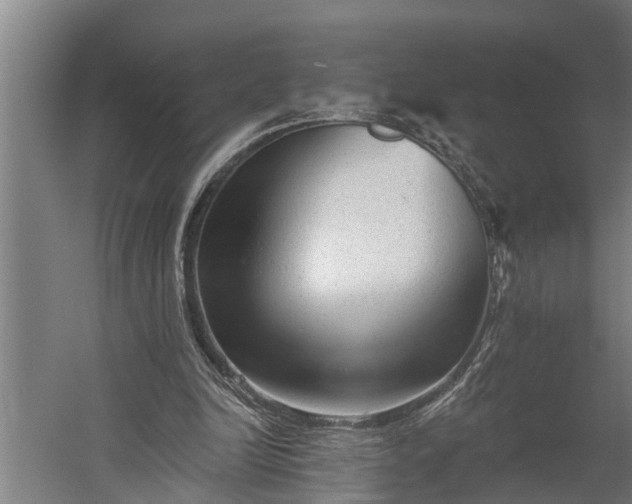 X0000060220246200511041212