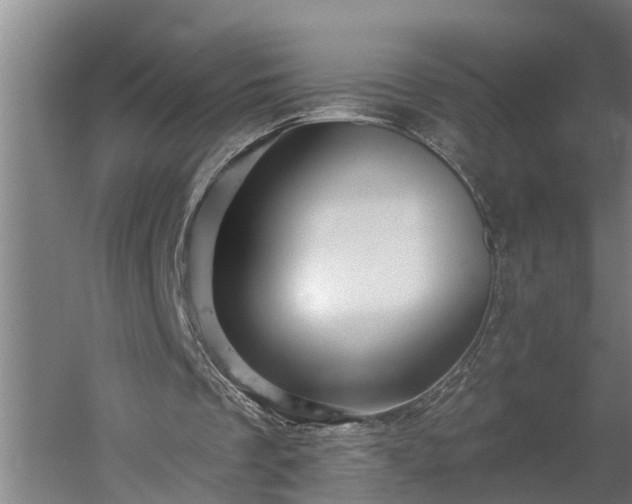 X0000060220289200511041212