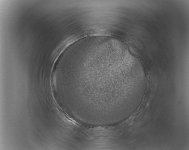 X0000060220290200511041212