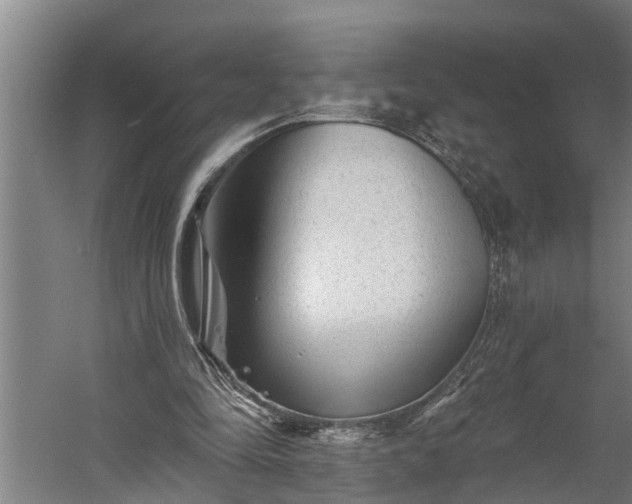 X0000060220294200511041212
