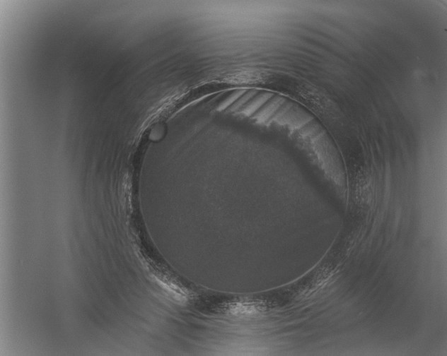 X0000060220303200511041211
