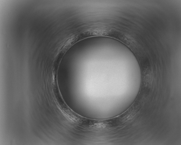 X0000060220310200511041211