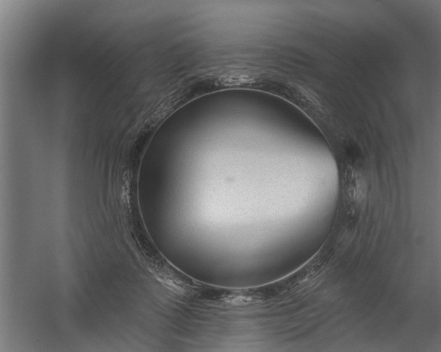 X0000060220315200511041211