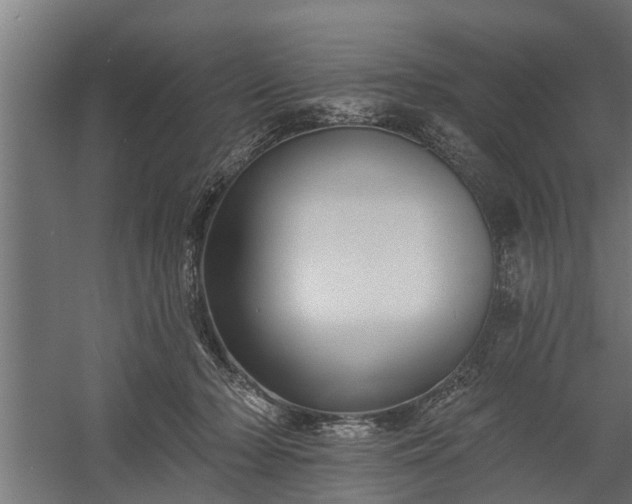 X0000060220318200511041211