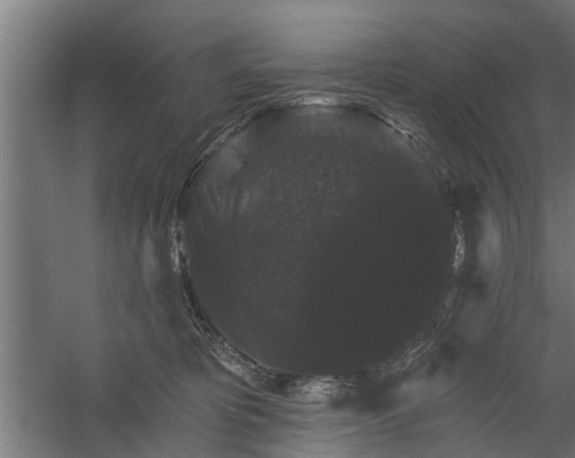 X0000060220325200511041211