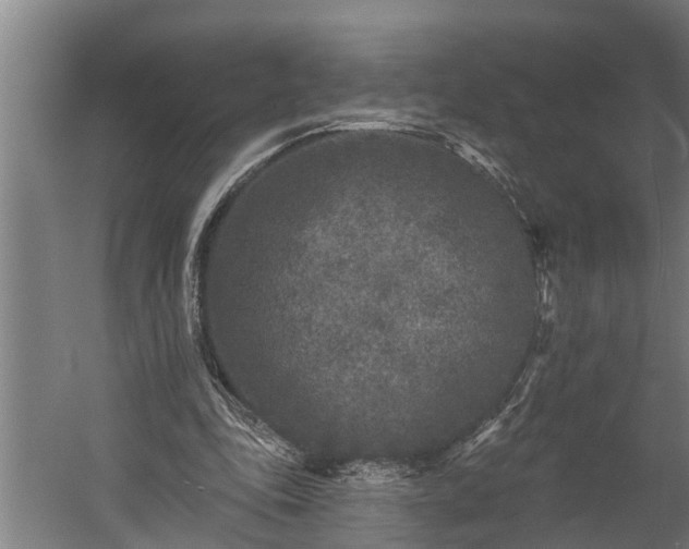 X0000060220343200511041210