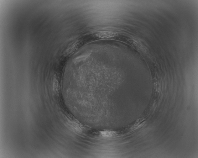 X0000060220371200511041211
