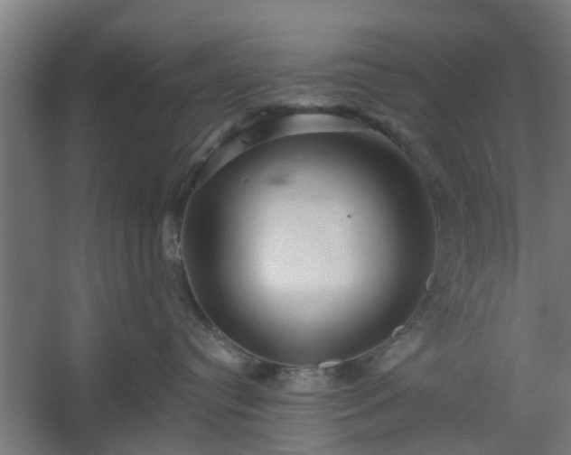 X0000060220384200511041211