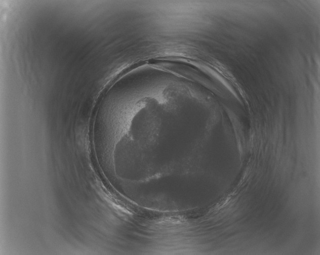 X0000060220386200511041210