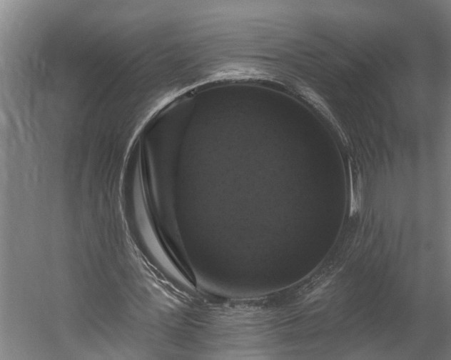 X0000060220387200511041210