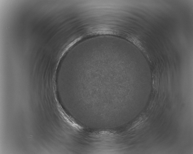 X0000060220390200511041210