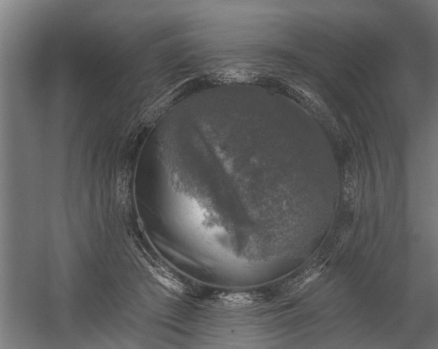 X0000060220409200511041210