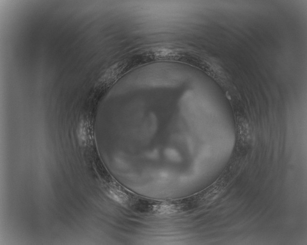 X0000060220419200511041210