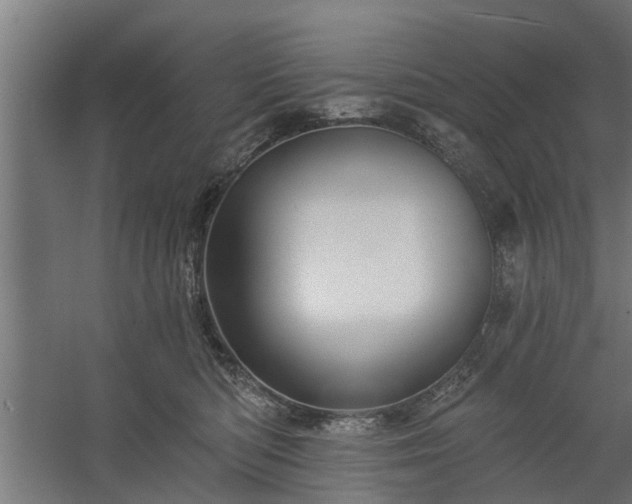 X0000060220422200511041209
