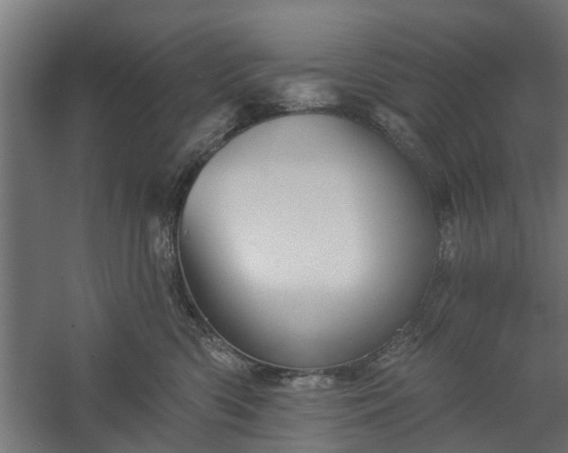 X0000060220426200511041209
