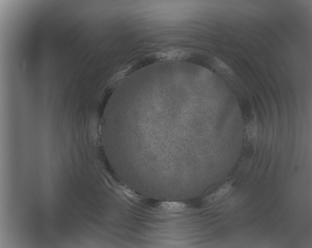 X0000060220429200511041209