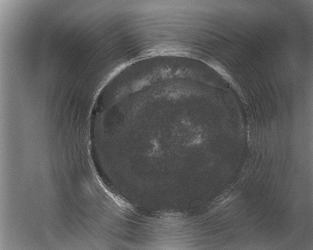 X0000060220438200511041208