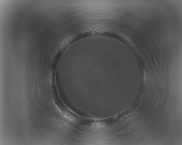 X0000060220451200511041209