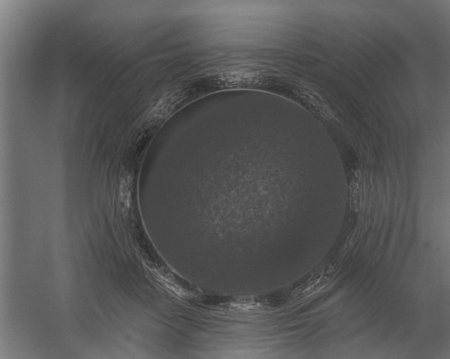 X0000060220458200511041209