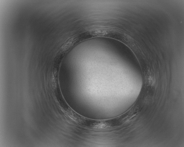 X0000060220460200511041209