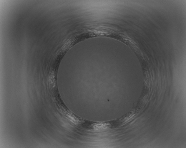X0000060220465200511041209