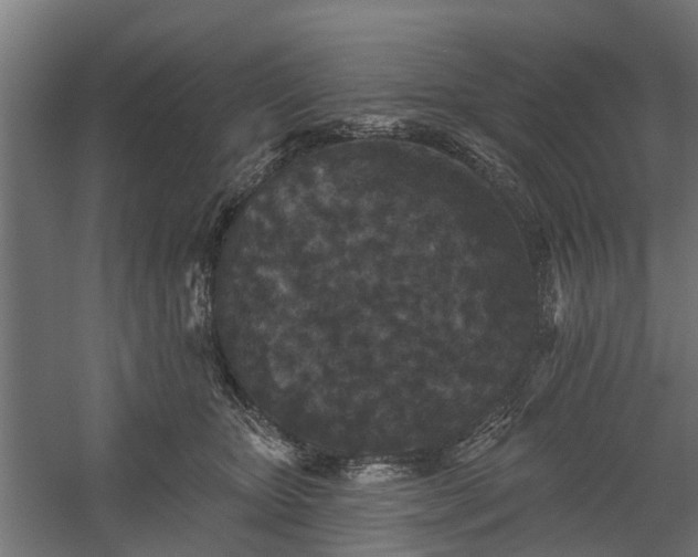 X0000060220467200511041209