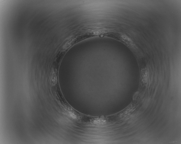X0000060220471200511041209