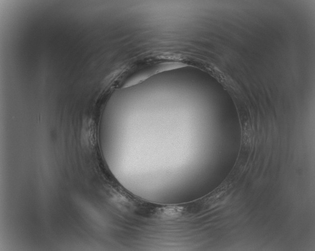 X0000060220474200511041209