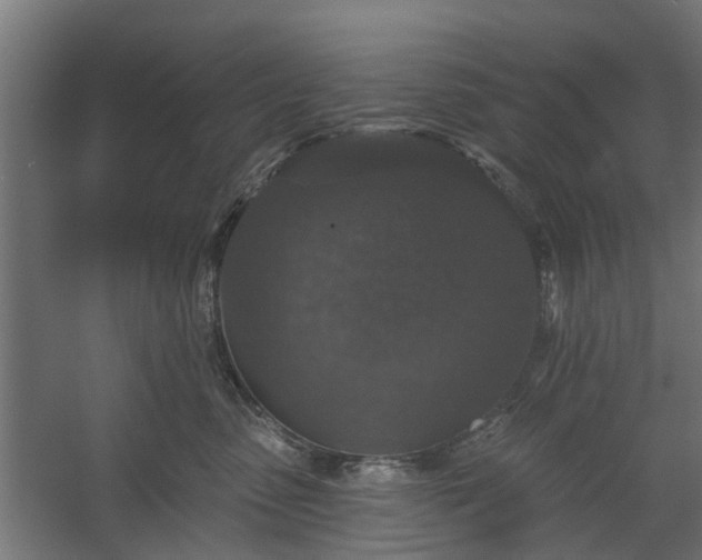 X0000060220475200511041209